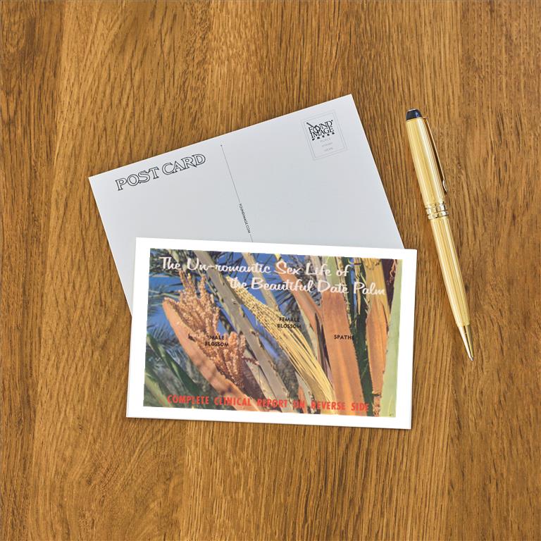 Postcard CD-225