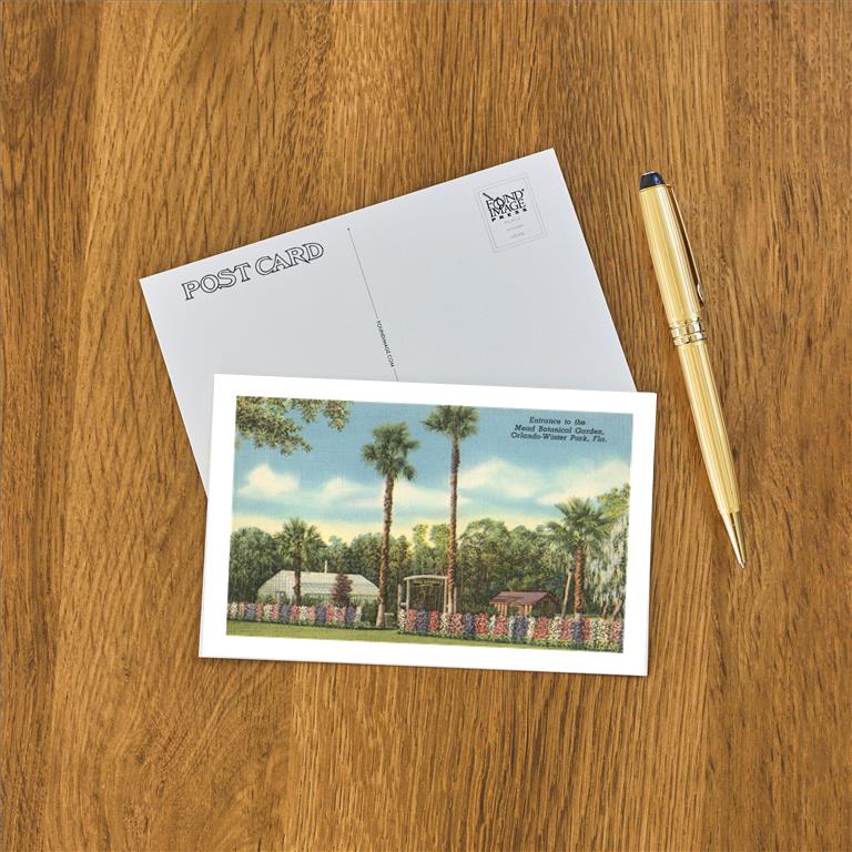 Postcard FL-1129