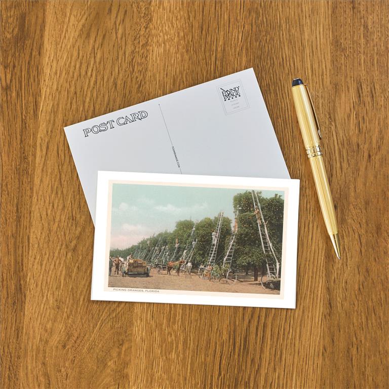 Postcard FL-1113