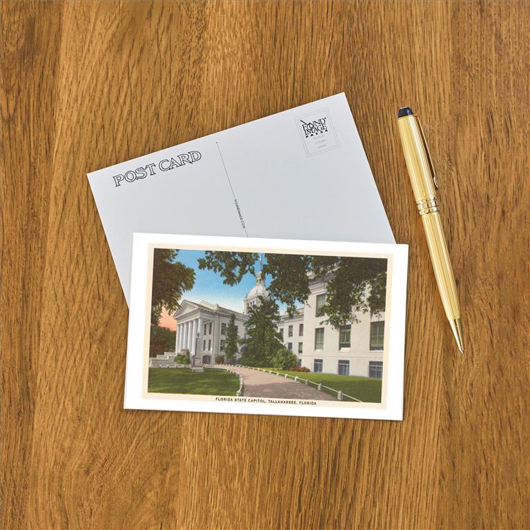 Postcard FL-391