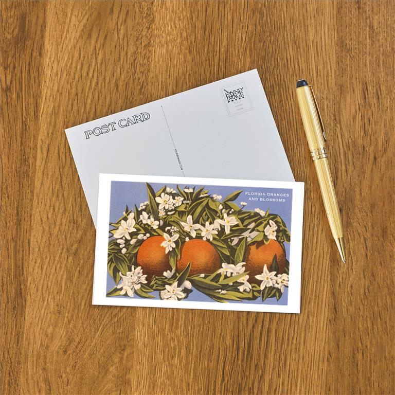 Postcard FL-988