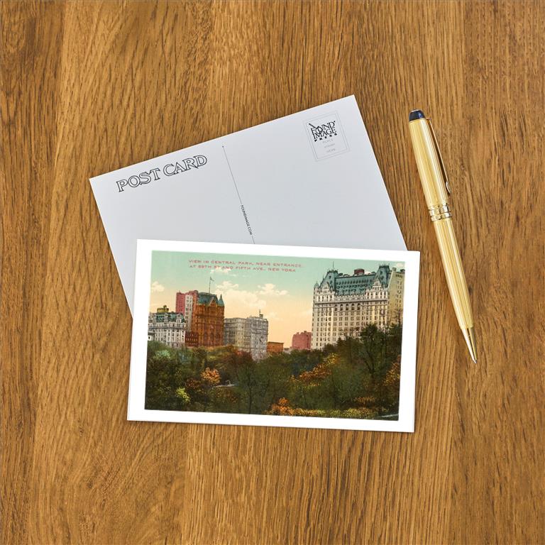 Postcard NY-295