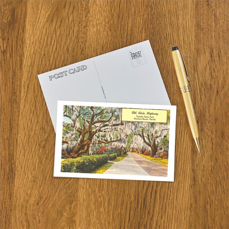 Postcard FL-199
