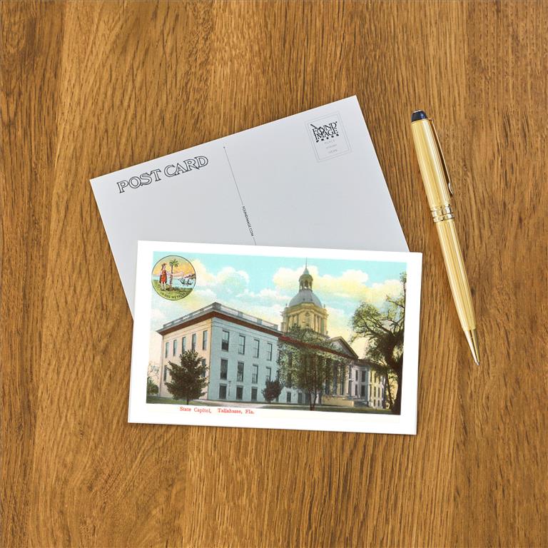 Postcard FL-390