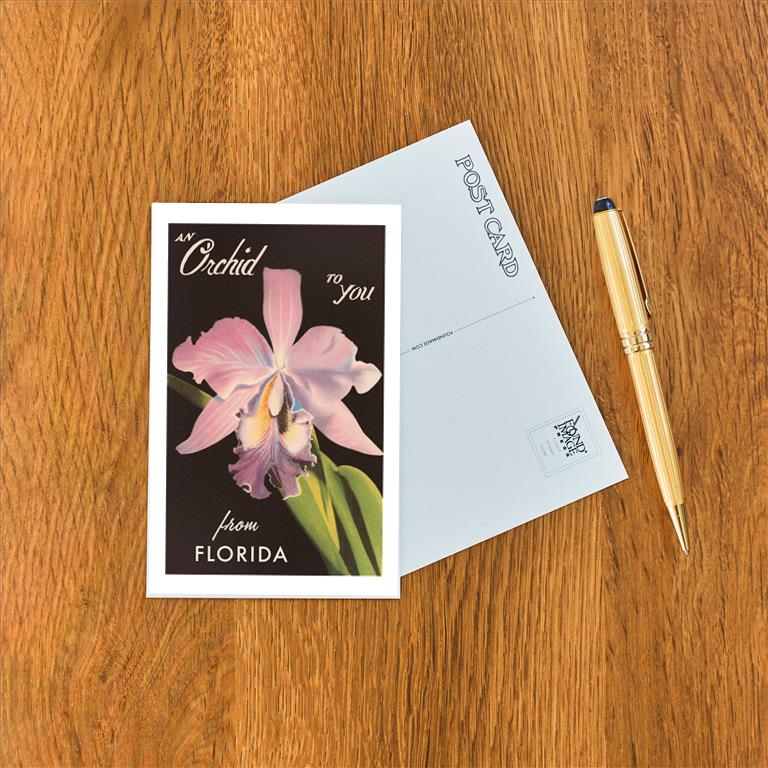 Postcard FL-1093