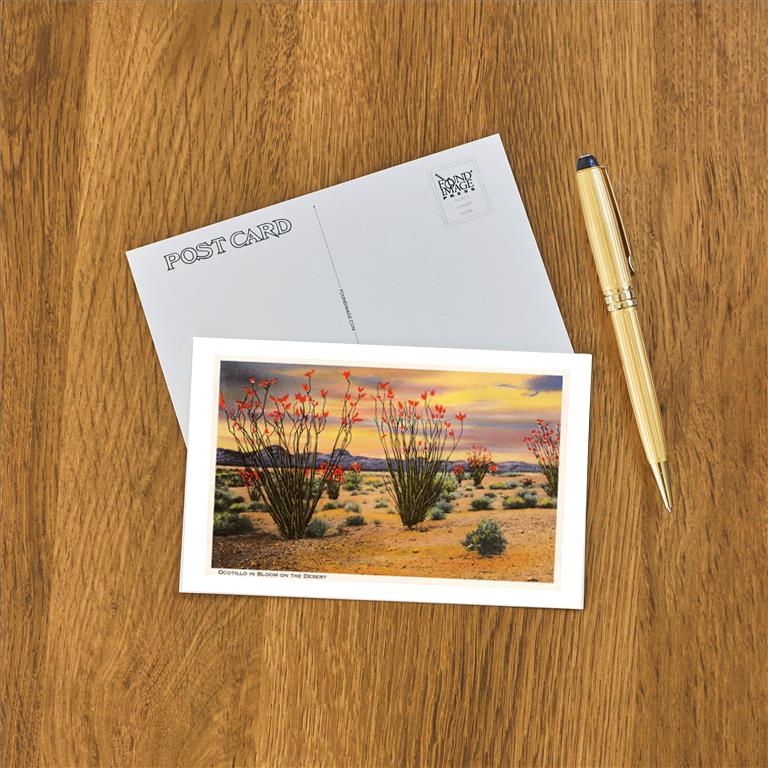 Postcard CD-31