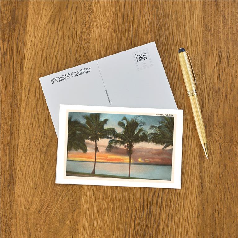 Postcard FL-263