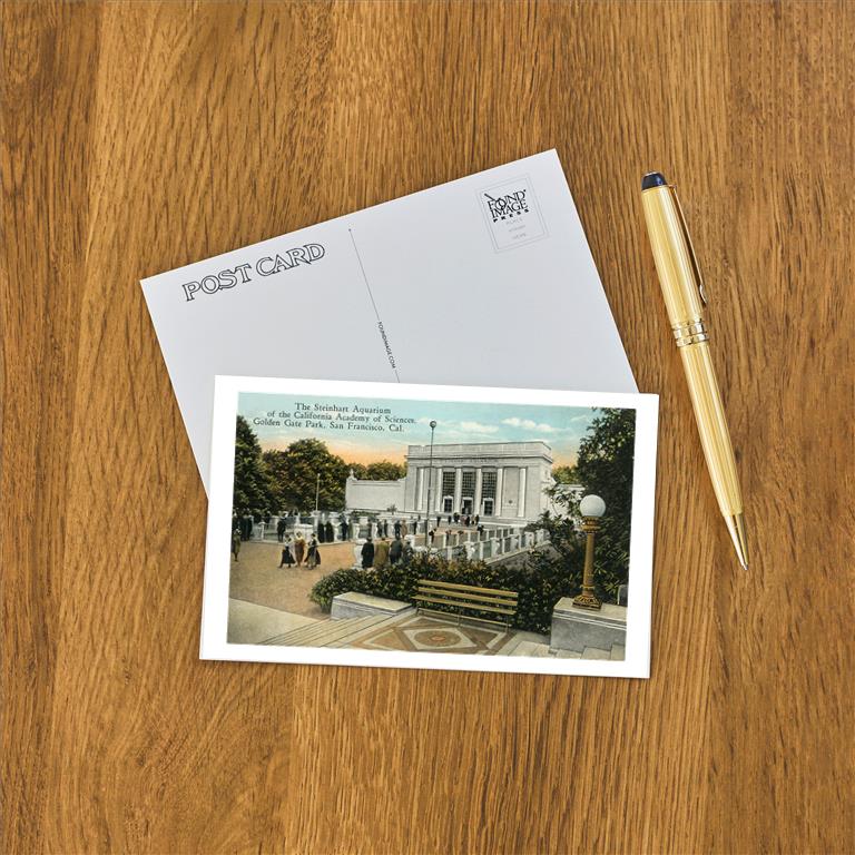 Postcard SF-259