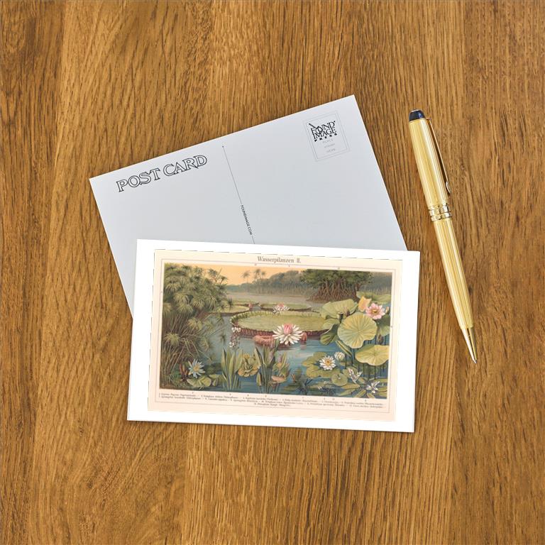 Postcard FG-546