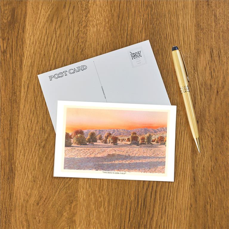 Postcard CD-202