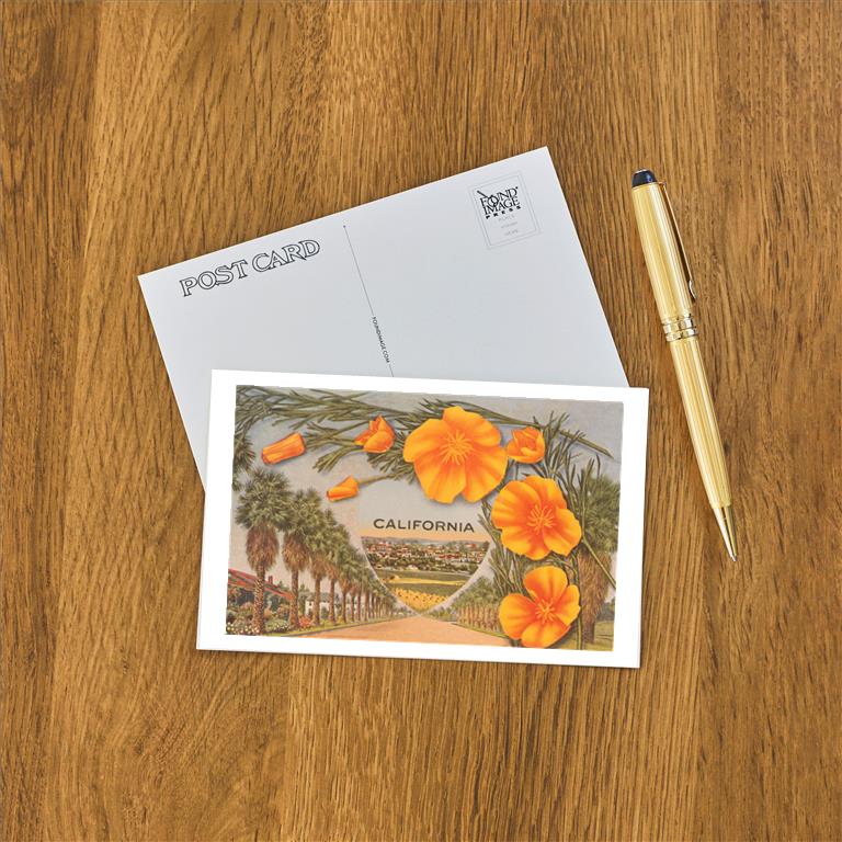 Postcard CA-1556