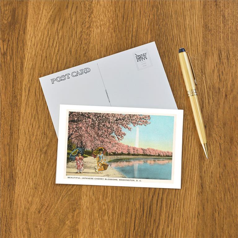 Postcard DC-234
