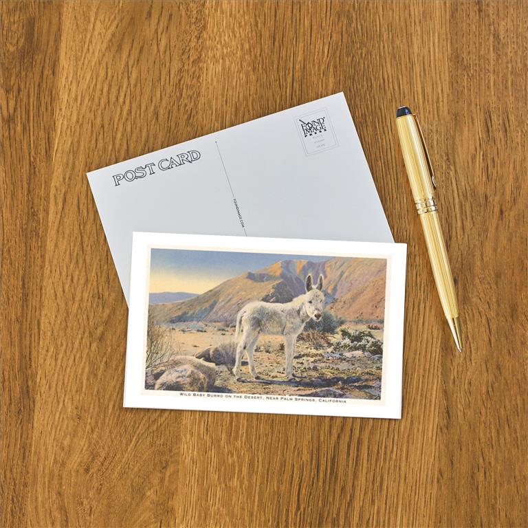 Postcard CD-101