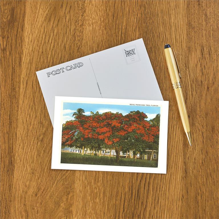 Postcard FL-40