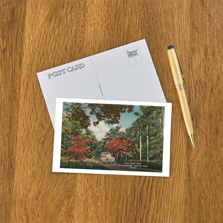 Postcard FL-1345