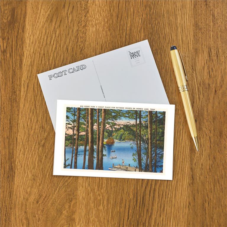 Postcard TN-12