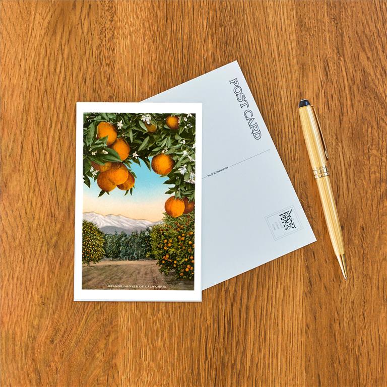 Postcard CA-315