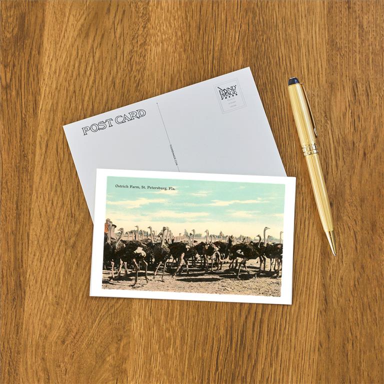 Postcard FL-473