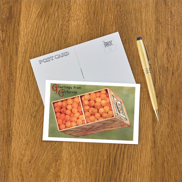 Postcard CA-1262