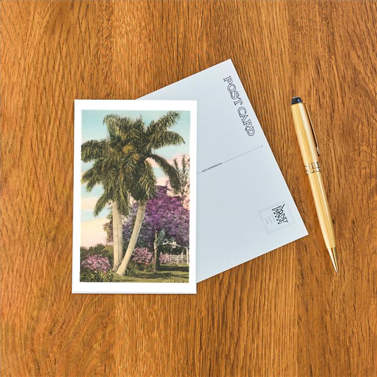 Postcard LD-37