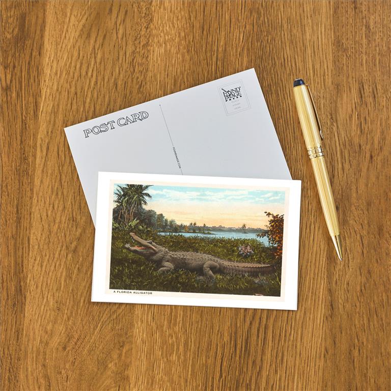 Postcard FL-803