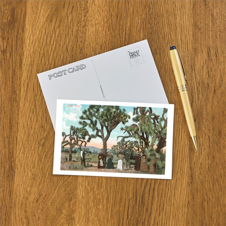 Postcard CD-116