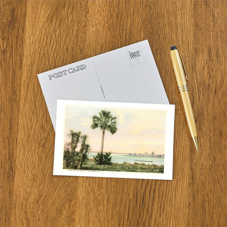Postcard FL-1348