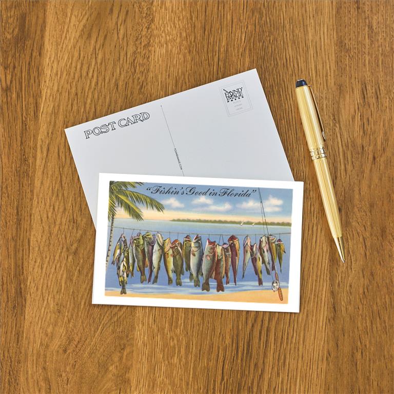 Postcard FL-675