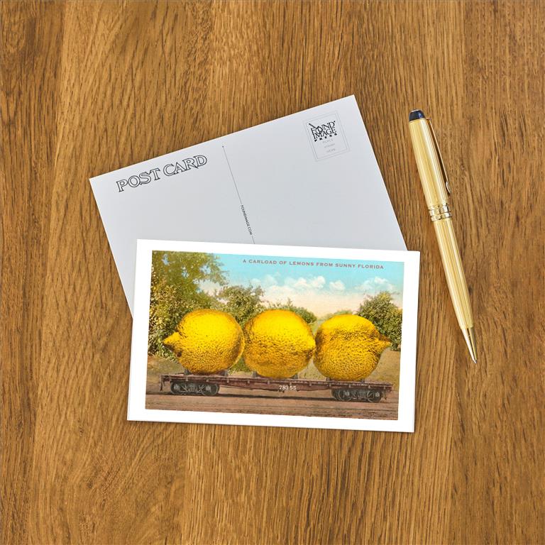 Postcard FL-994