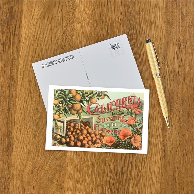 Postcard CA-1482