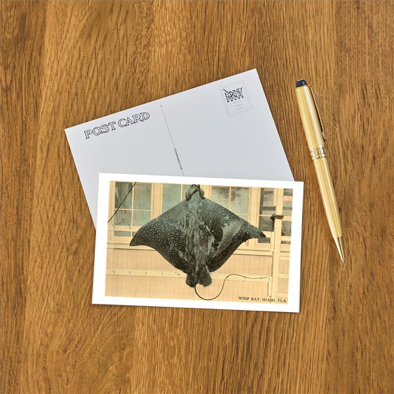 Postcard FL-300