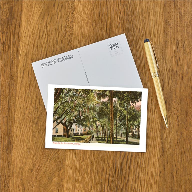 Postcard FL-253