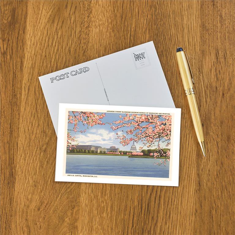 Postcard DC-13