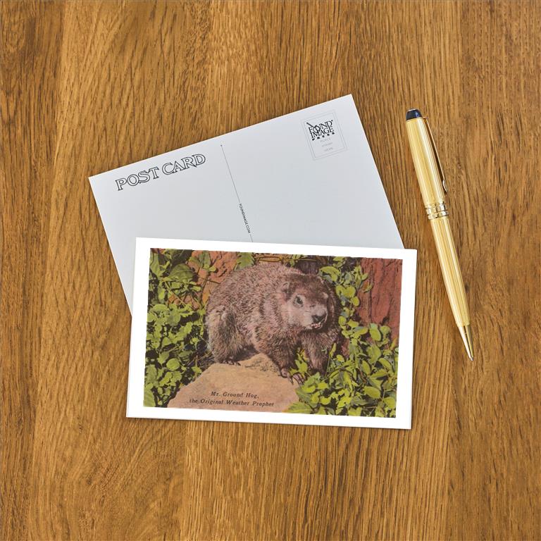 Postcard WP-146