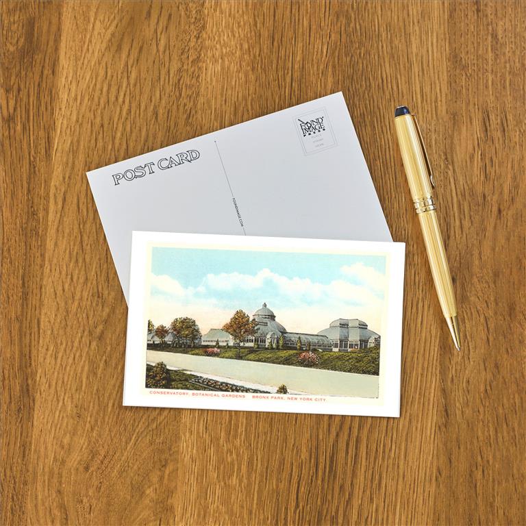 Postcard NY-28