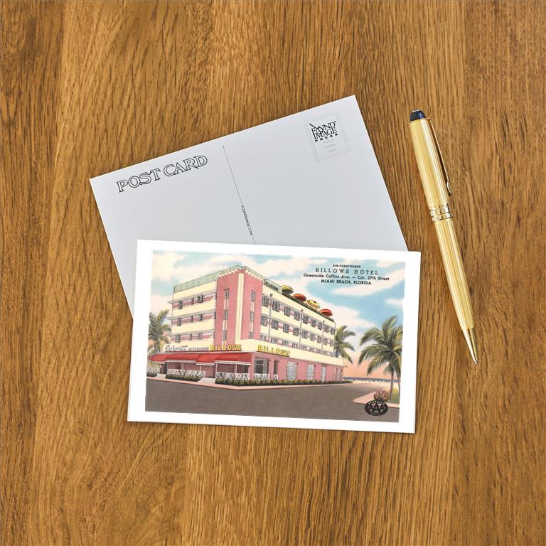 Postcard FL-1313