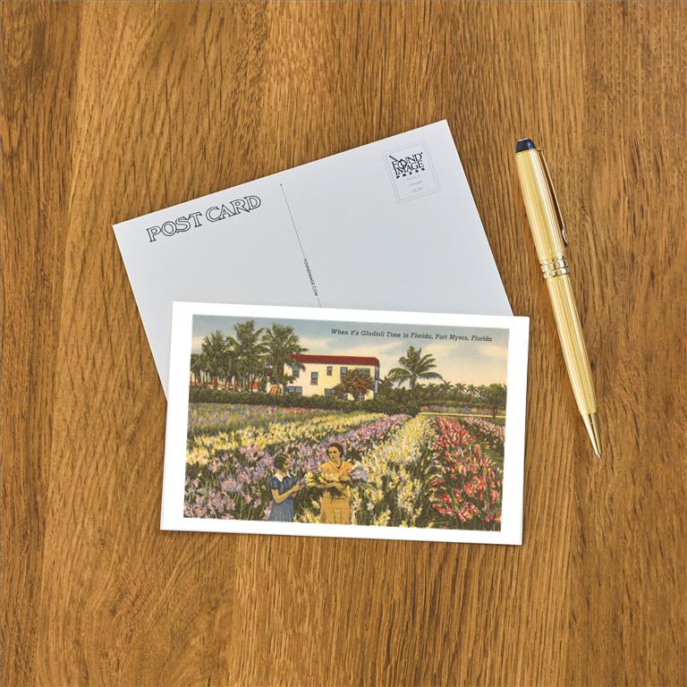 Postcard FL-648
