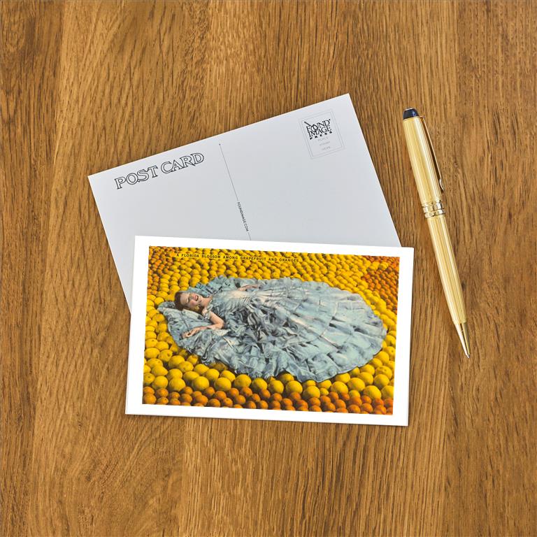 Postcard FL-680