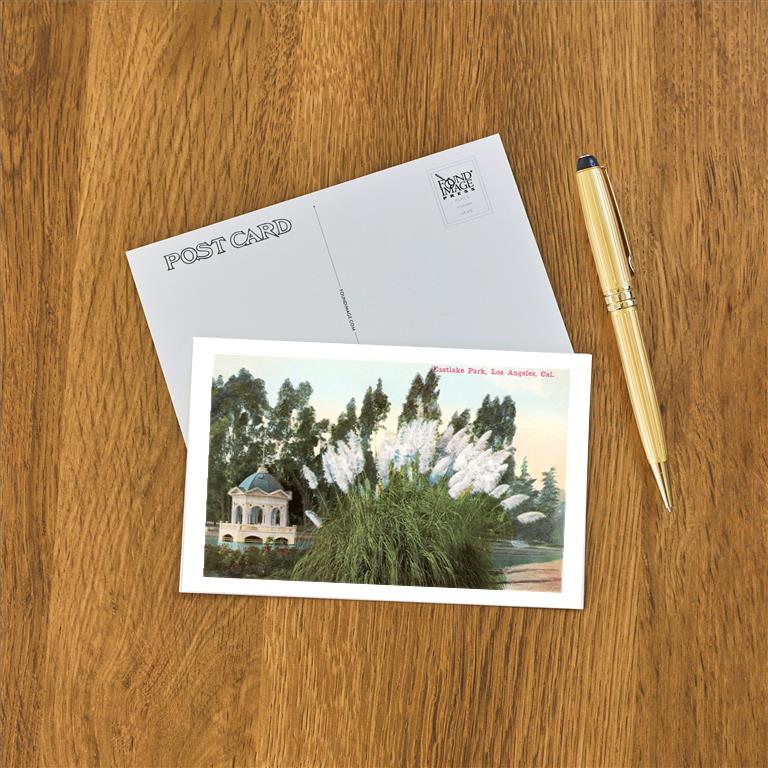 Postcard LA-56
