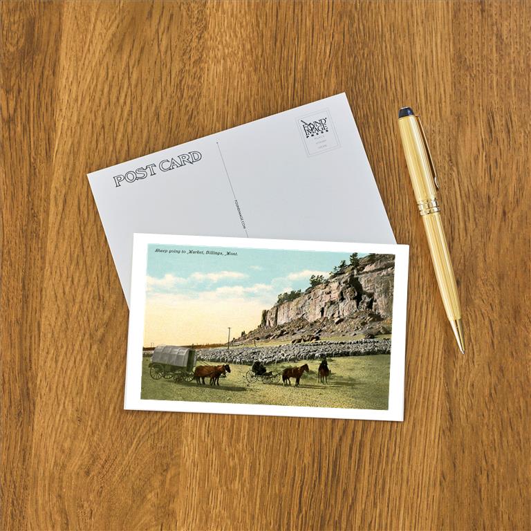 Postcard MT-406