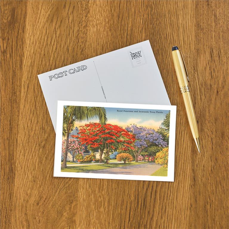 Postcard FL-02