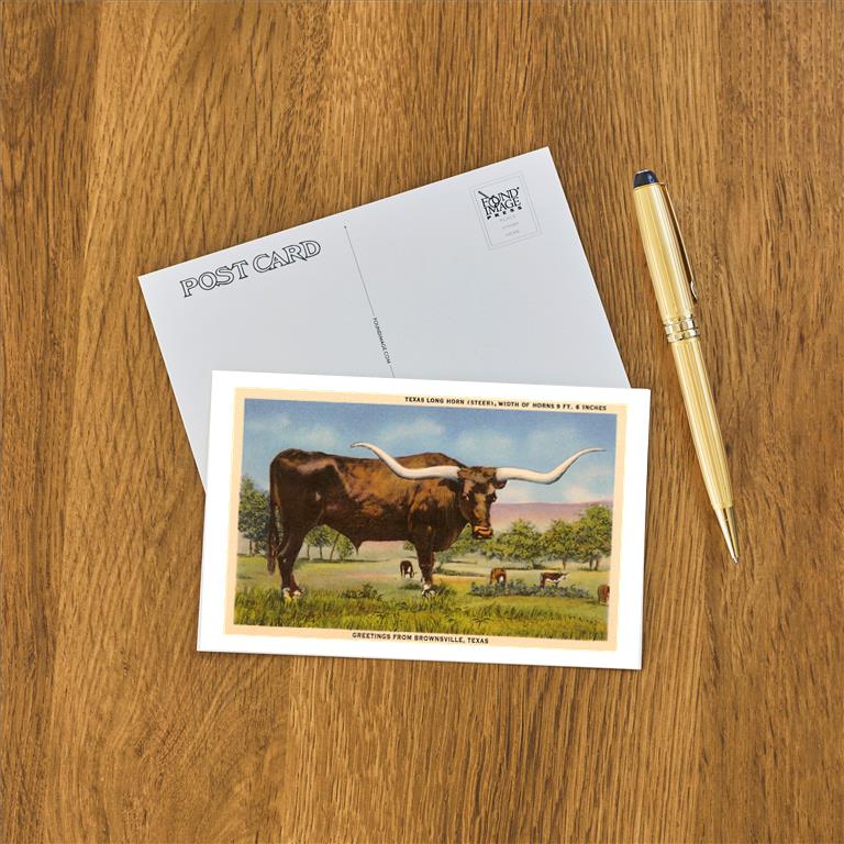 Postcard TX-625