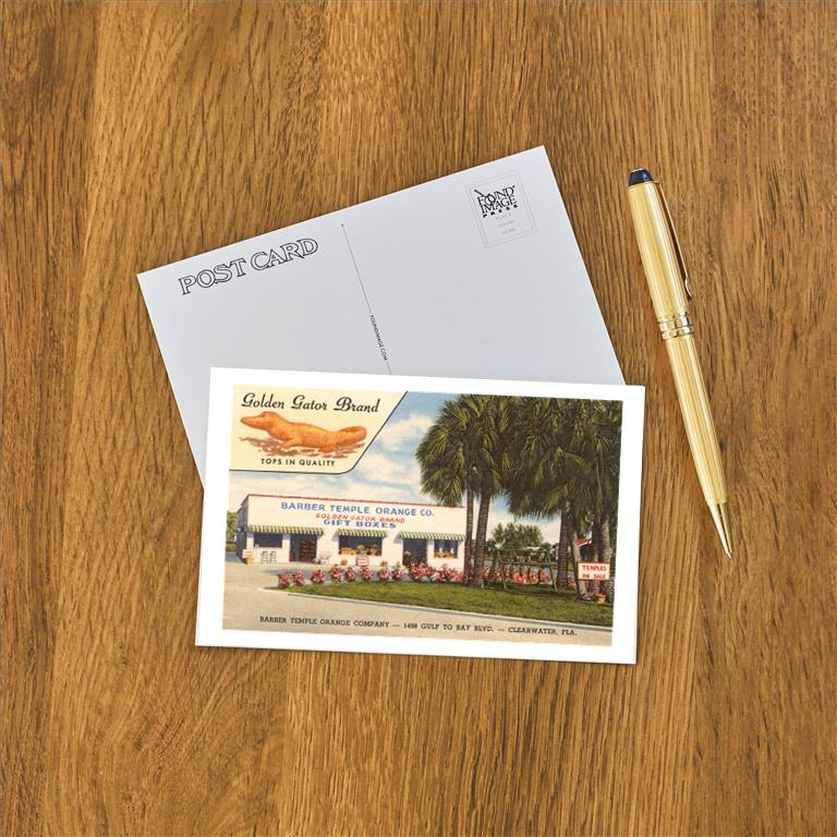 Postcard FL-983