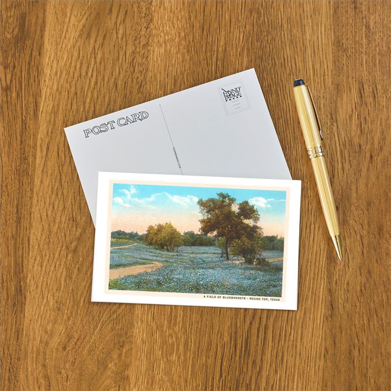 Postcard TX-994
