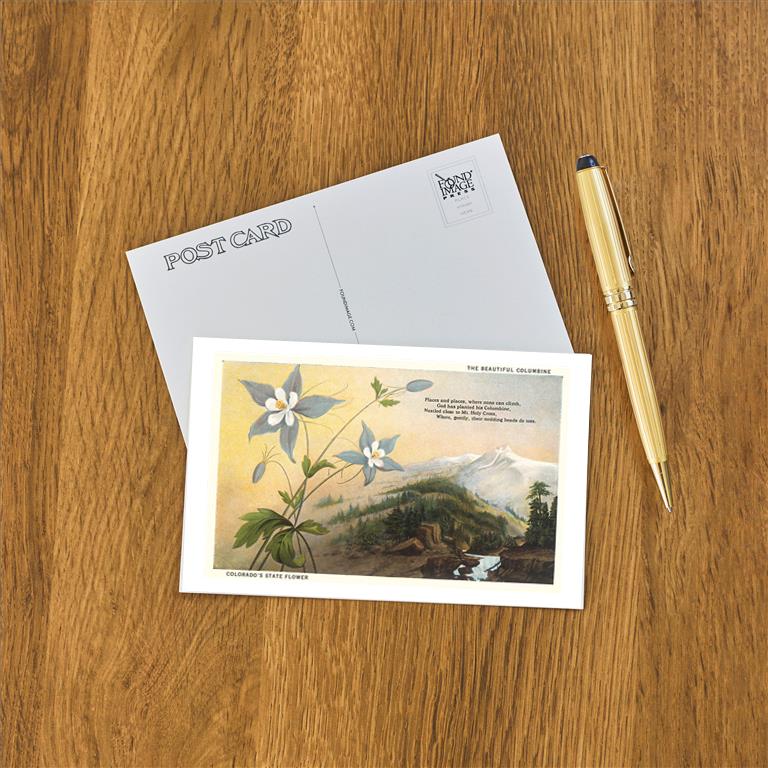 Postcard CO-234