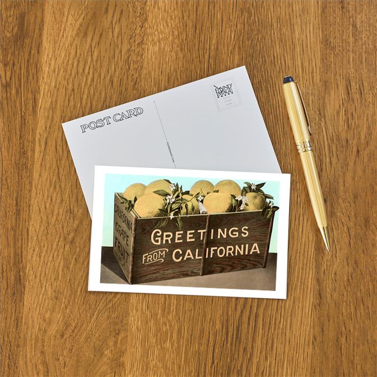 Postcard CA-342