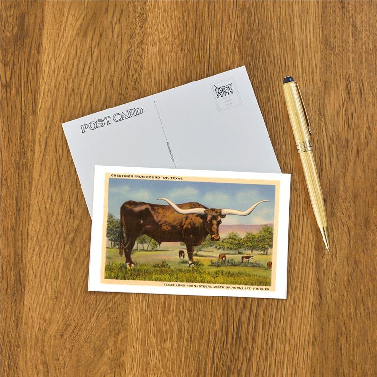 Postcard TX-993