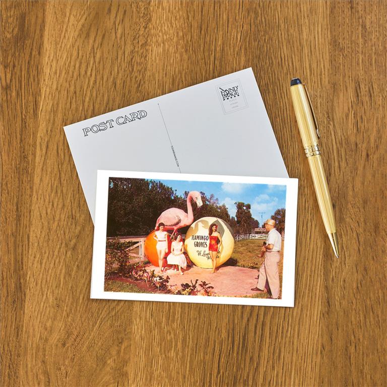 Postcard FL-736