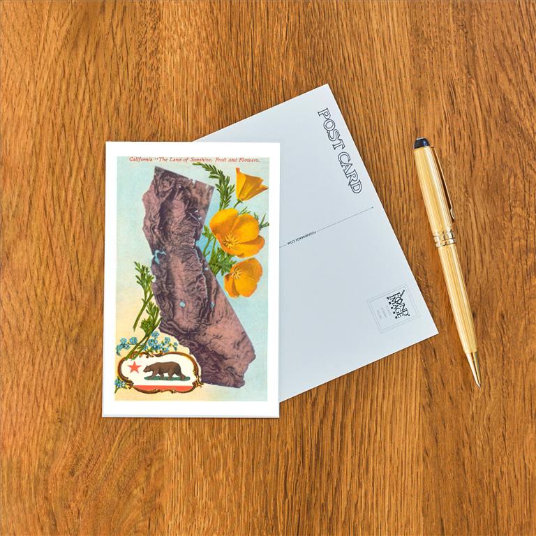 Postcard CA-977