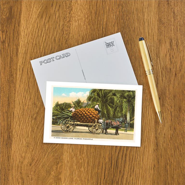 Postcard FL-238